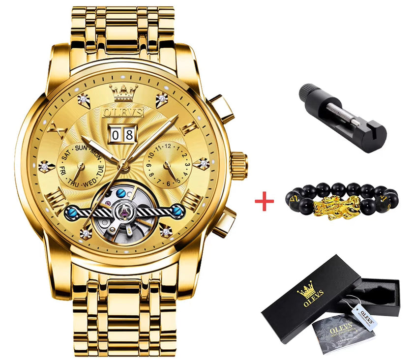 Mechanical Watches Automatic Watch Men Waterproof Stainless Steel Strap Skeleton Gold Watch Male Wristwatch