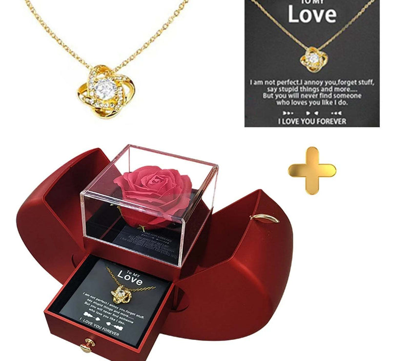 Preserved Red Rose with I Love You Necklace in 100 Languages Eternal Flowers Rose Gifts for Her, Mom, Women, Girlfriend, Wife, Gifts Ideas for Birthday Valentine'S Day Christmas
