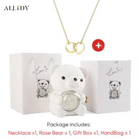 Women's Red Eternal Rose Teddy Bear with Stainless Steel Custom Names Necklace Jewelry Gifts Set for Woman Valentine'S Gift
